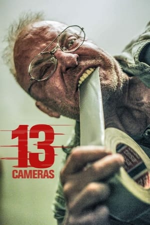 Watch Free 13 Cameras (2015)