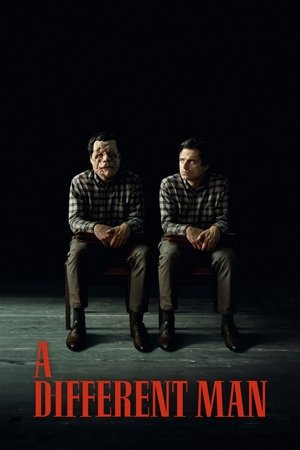 Watch Free A Different Man (2024)