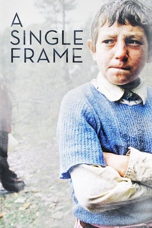 Watch Free A Single Frame (2014)