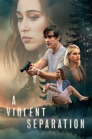 Watch Free A Violent Separation (2018)