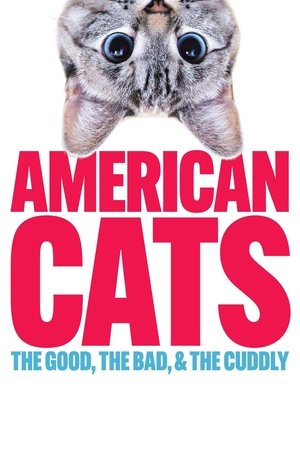 Watch Free American Cats The Good, the Bad, and the Cuddly (2024)