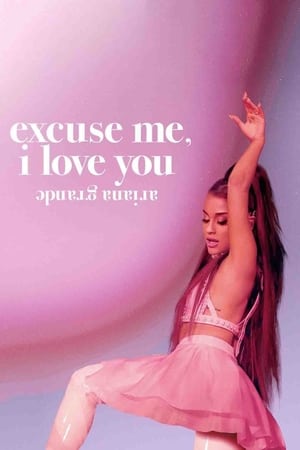 Watch Free Ariana Grande Excuse Me, I Love You (2020)