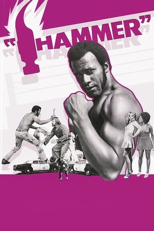 Watch Free Hammer (1972)