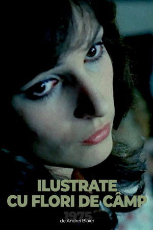 Watch Free Ilustrate cu flori de camp (1975)