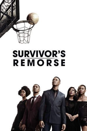Watch Free Survivors Remorse (2014)
