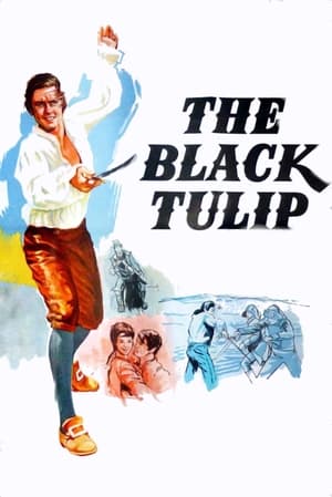 Watch Free The Black Tulip (1964)