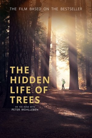 Watch Free The Hidden Life of Trees (2020)