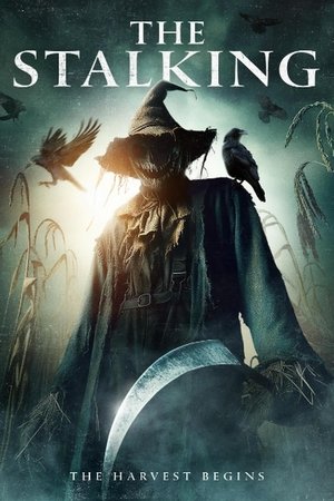 Watch Free The Stalking (2024)