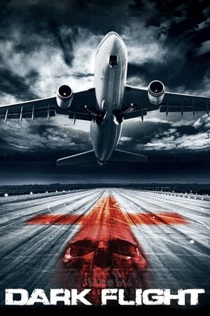 Watch Free 407 Dark Flight 3D (2012)