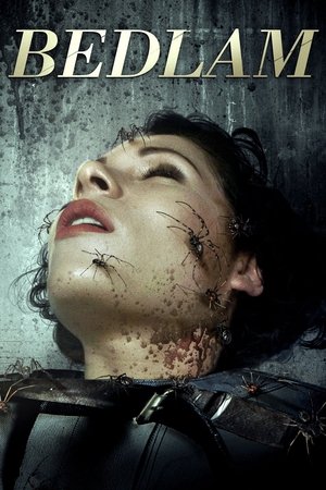 Watch Free Bedlam (2015)