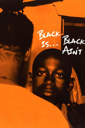 Watch Free Black Is... Black Aint (1994)