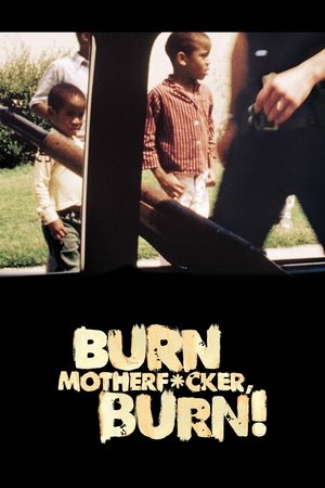 Watch Free Burn Motherfucker, Burn! (2017)