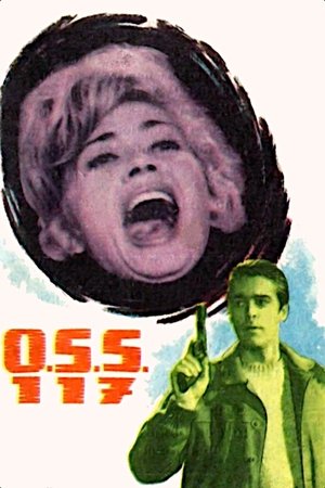 Watch Free OSS 117 se déchaîne (1963)