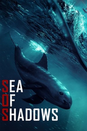 Watch Free Sea of Shadows (2019)