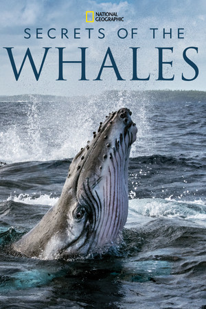 Watch Free Secrets of the Whales (2021)
