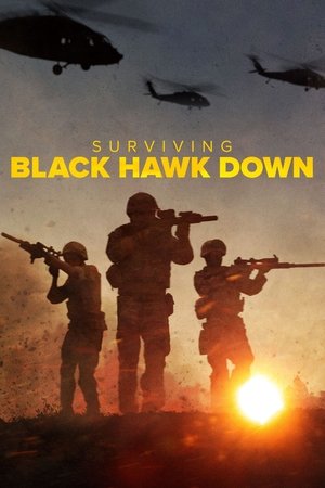 Watch Free Surviving Black Hawk Down (2025-)