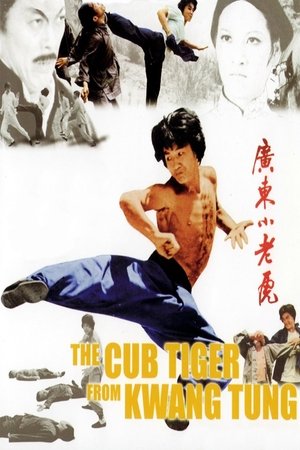 Watch Free Snake Fist Fighter (1973)