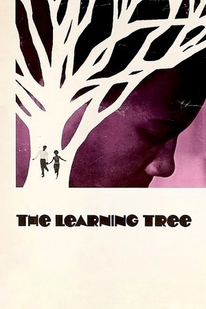 Watch Free The Learning Tree (1969)