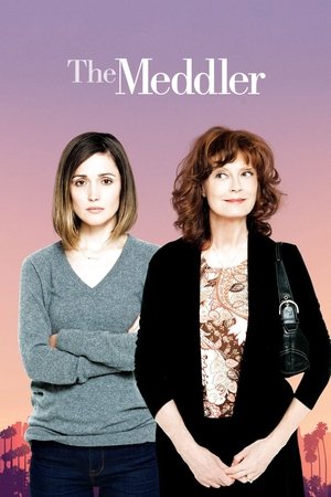 Watch Free The Meddler 2016