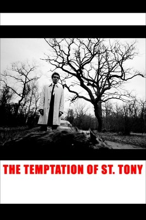 Watch Free The Temptation of St. Tony (2009)