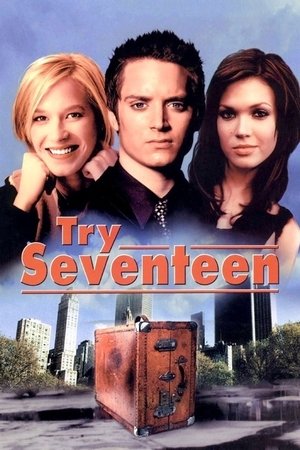 Watch Free Try Seventeen (2002)