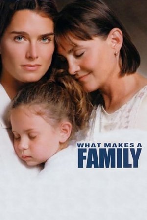 Watch Free What Makes a Family (2001)