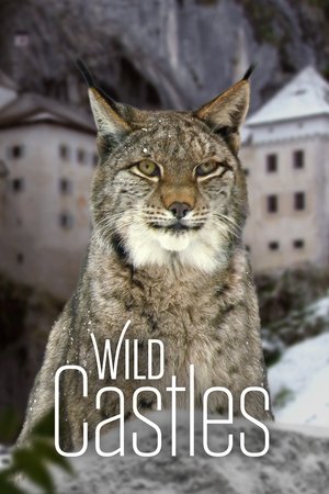 Watch Free Wild Castles (2017 )