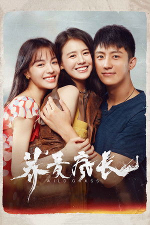 Watch Free Wild Grass (2020)