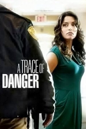 Watch Free A Trace of Danger (2010)
