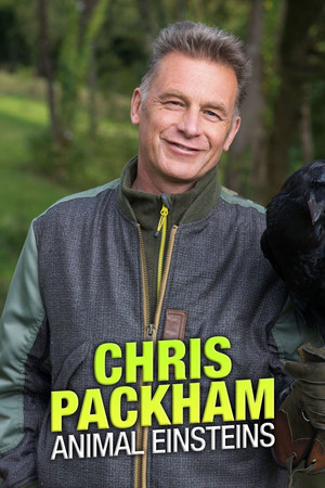 Watch Free Chris Packhams Animal Einsteins (2021 )