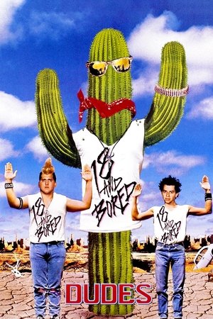 Watch Free Dudes (1987)