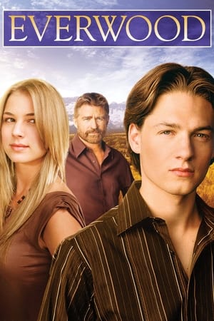 Watch Free Everwood (2002 2006)