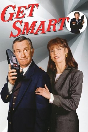 Watch Free Get Smart (1995)