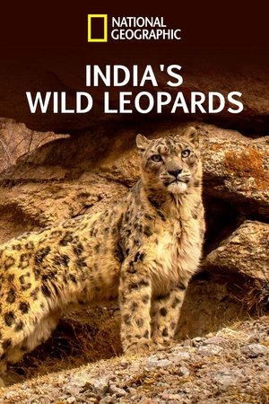 Watch Free Indias Wild Leopards (2020)