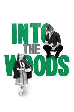 Watch Free Into the Woods (2011)