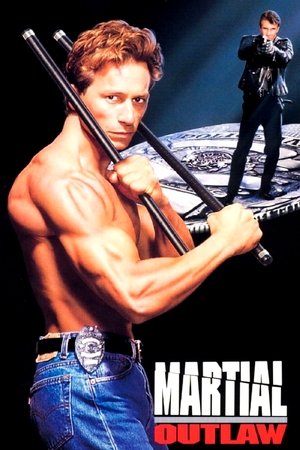 Watch Free Martial Outlaw (1993)