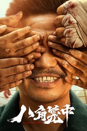 Watch Free Never Say Never (2023)