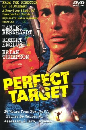 Watch Free Perfect Target (1997)