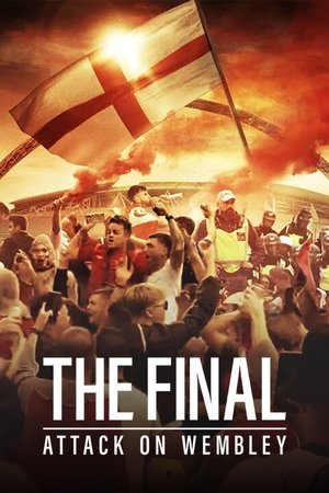 Watch Free The Final Attack on Wembley (2024)