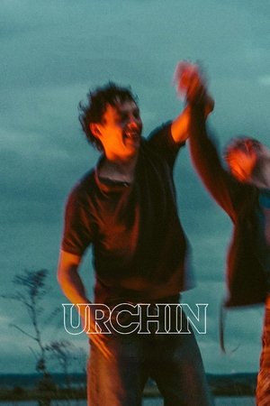 Watch Free Urchin (2025)