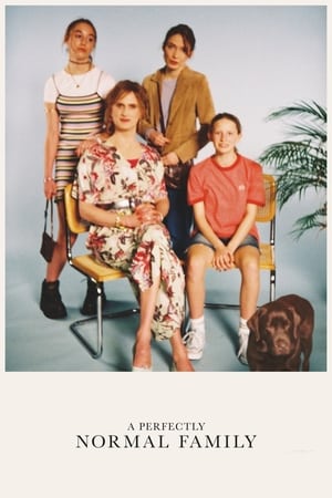 Watch Free A Perfectly Normal Family (2020)