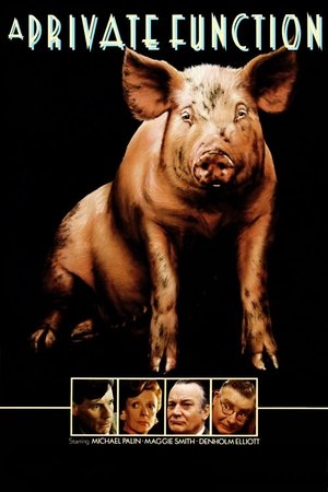 Watch Free A Private Function (1984)