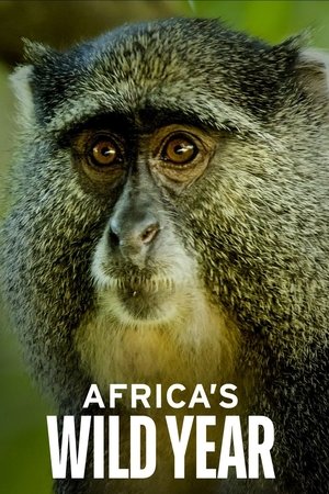 Watch Free Africas wild year (2021)