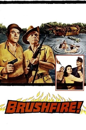 Watch Free Brushfire (1962)