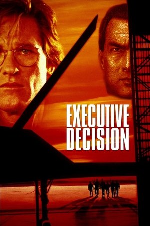 Watch Free Executive Decision (1996)