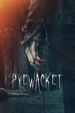 Watch Full Movie: Pyewacket (2017)
