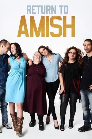 Watch Free Return to Amish (2014 )
