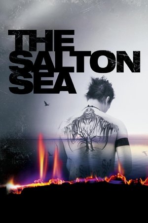 Watch Free The Salton Sea (2002)