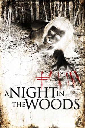Watch Free A Night in the Woods (2011)