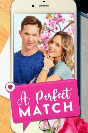 Watch Free A Perfect Match (2021)